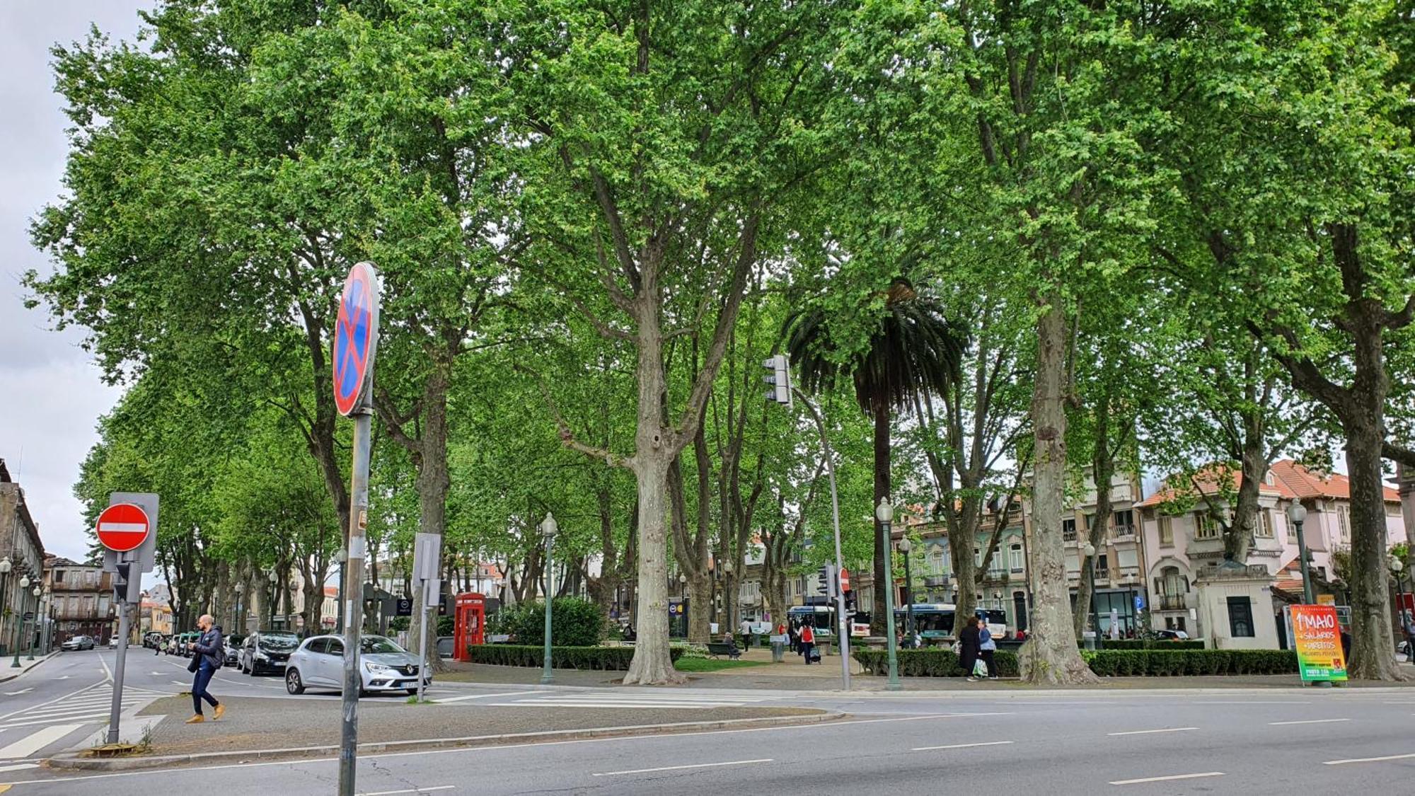 Marques Garden With Parking Apartment Porto Exterior photo